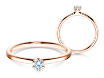 Verlobungsring Classic 6 in 14K Roségold mit Diamant 0,10ct G/SI